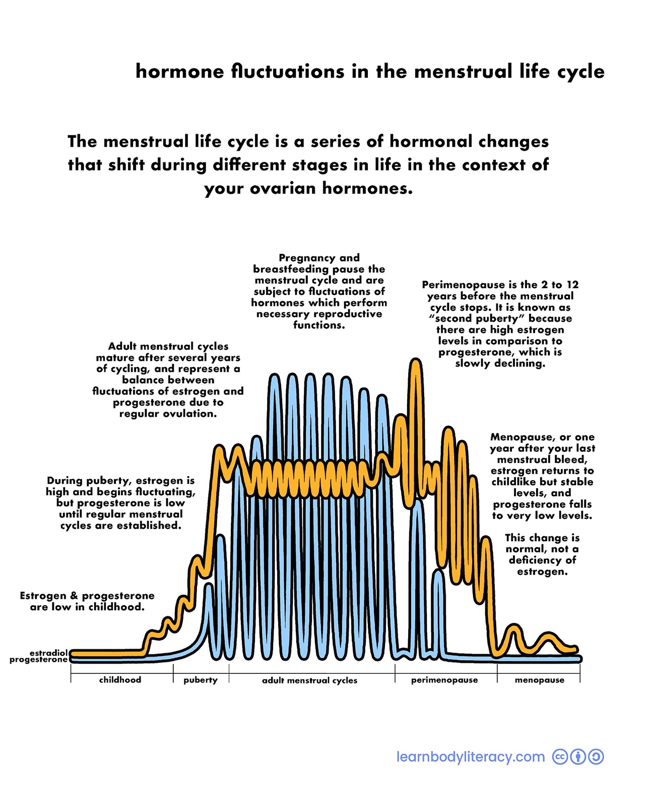 Infographic with a line graph of estrogen and progesterone from childhood through puberty, adult cycles, perimenopause and menopause, showing wider swings in perimenopause.